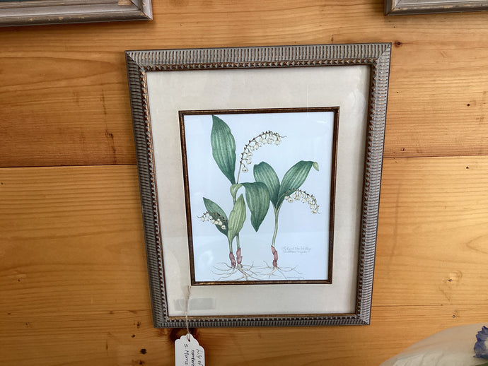 Lily of the Valley Numbered Print S Morris Kincheloe