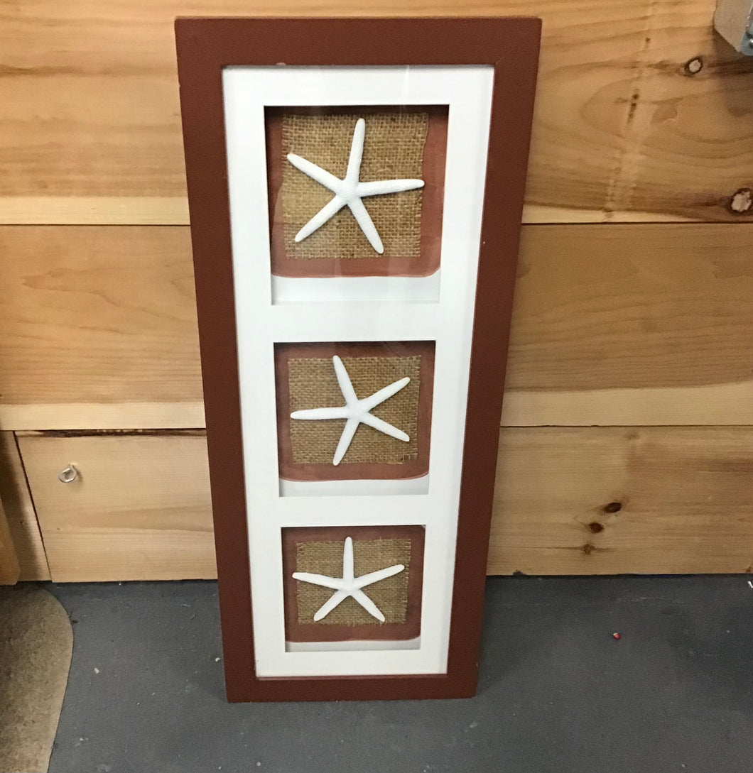 Triple Starfish in Frame 10 x 25.5